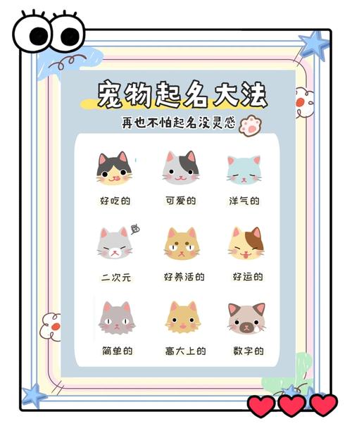 娱乐圈之神兽助攻_助攻神兽圈娱乐小说_助攻神兽圈娱乐圈小说