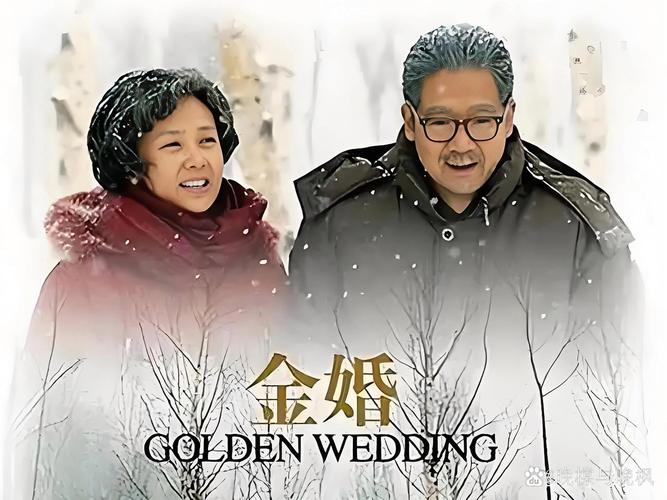 金婚电视剧全集cctv_金婚电视剧全集免费策驰影院_电视剧金婚在线观看