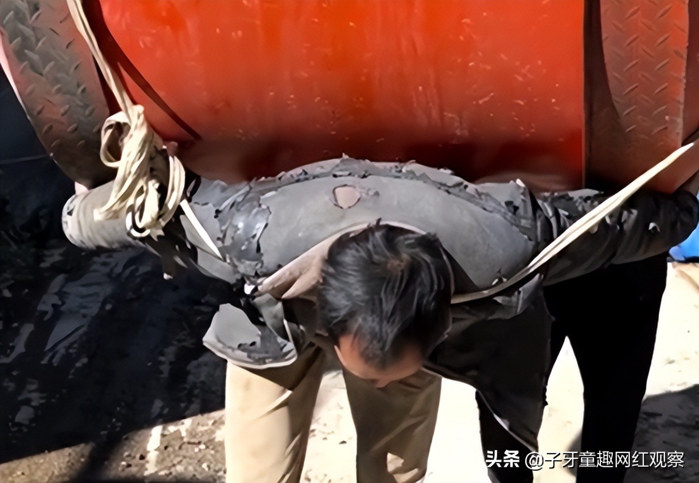 老杨啊：他是全网唯一不敢模仿的狠人，靠着黑暗料理吸粉上百万