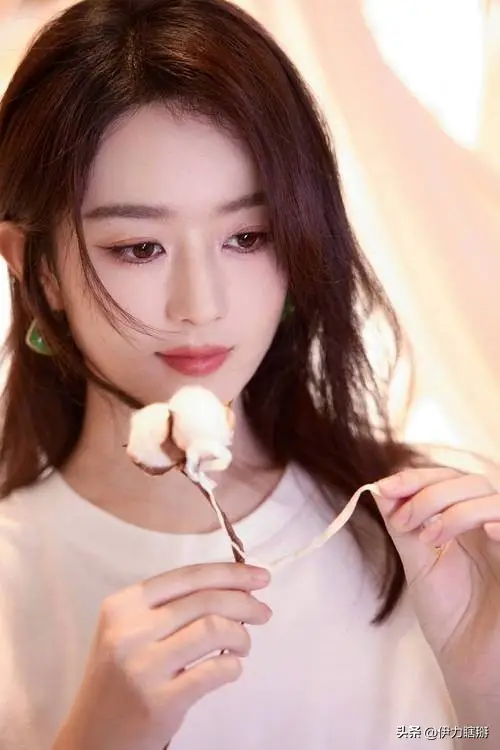 没有黑料的明星,_赵丽颖早期网暴经历_赵丽颖与冯绍峰婚姻真相